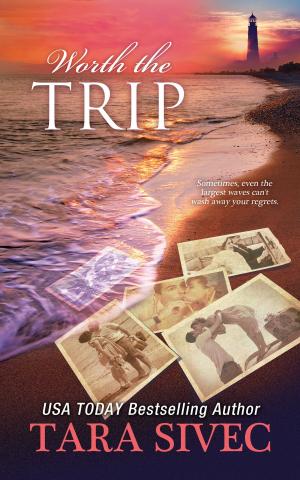 Book cover of Worth the Trip