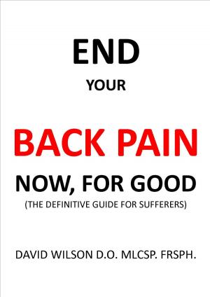Book cover of End Your Back Pain Now, for Good.