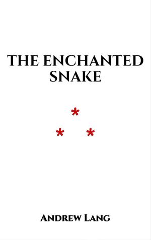 Cover of the book The Enchanted Snake by Hans Christian Andersen