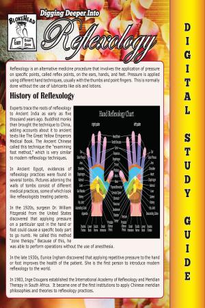 Cover of Reflexology (Blokehead Easy Study Guide)
