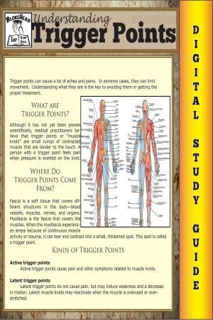 Cover of the book Trigger Points (Blokehead Easy Study Guide) by Tom Delaney