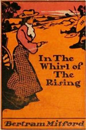 Cover of the book In the Whirl of the Rising by Ottilie A. Liljencrantz