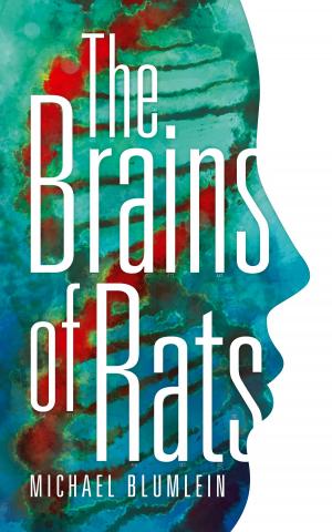 bigCover of the book The Brains of Rats by 