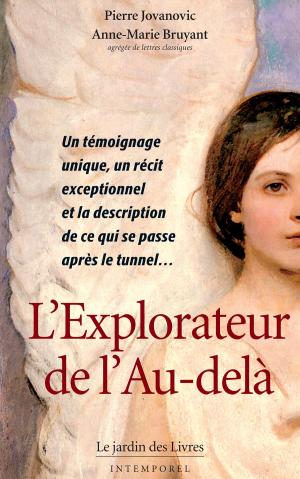 Book cover of L'Explorateur de l'Au-delà