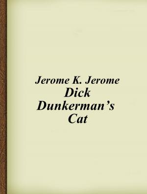 Book cover of Dick Dunkerman’s Cat