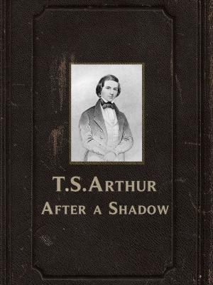Cover of the book After a Shadow by H.C. Andersen