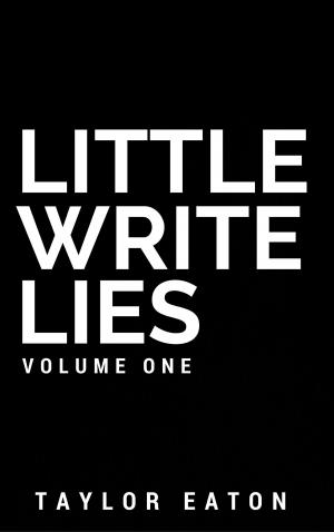 Cover of the book Little Write Lies (Volume 1) by Derek Shupert