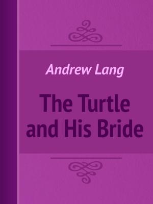 Cover of the book The Turtle and His Bride by Turkish Fairy Tales