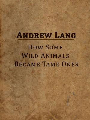 Book cover of How Some Wild Animals Became Tame Ones