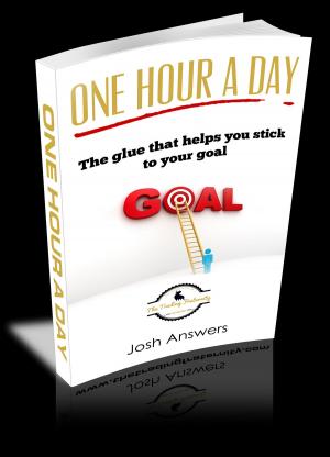bigCover of the book One Hour A Day by 