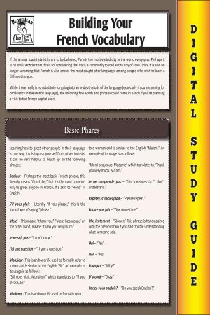 Cover of the book French Vocabulary (Blokehead Easy Study Guide) by Janet Evans
