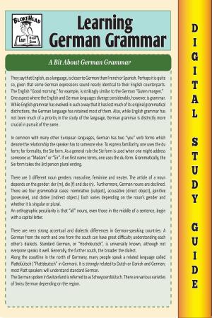 Cover of German Grammar (Blokehead Easy Study Guide)