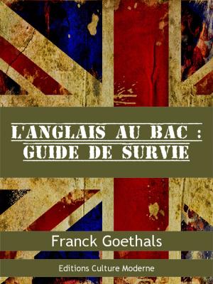 Cover of the book L'anglais au bac : guide de survie by Barry Silverstein