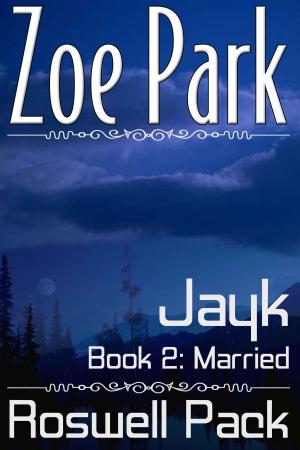 Cover of the book Jayk: Married by Harry Bawles