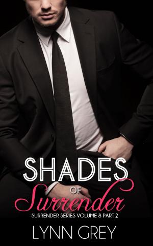 Cover of the book Shades of Surrender Part 2 by Sonia fessura fantastica