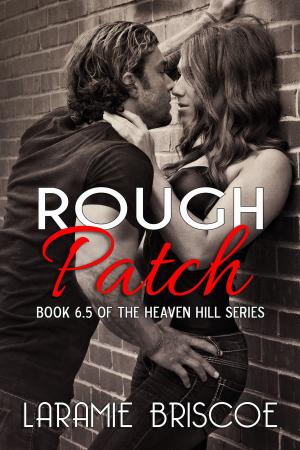 Cover of the book Rough Patch by Monica Barrie