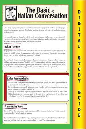 bigCover of the book Italian Conversation (Blokehead Easy Study Guide) by 