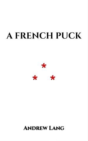 Cover of the book A French Puck by Fadzi Chitakunye