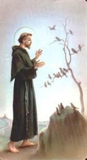Cover of the book I fioretti di San Francesco by St. Teresa of Ávila