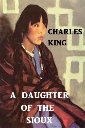 Cover of the book A Daughter of the Sioux by Richard Rowe