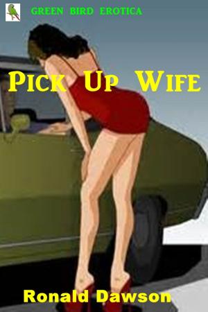 Cover of the book Pick Up Wife by Gina Martin