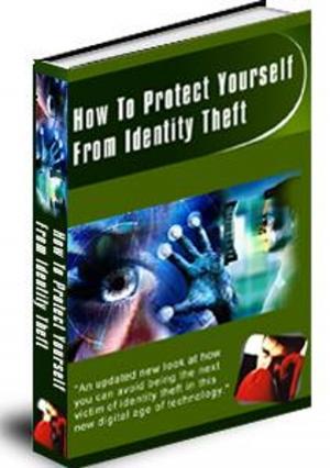 Cover of the book Identity Theft by alasdair gilchrist