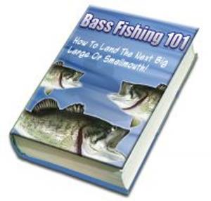 bigCover of the book Bass Fishing by 