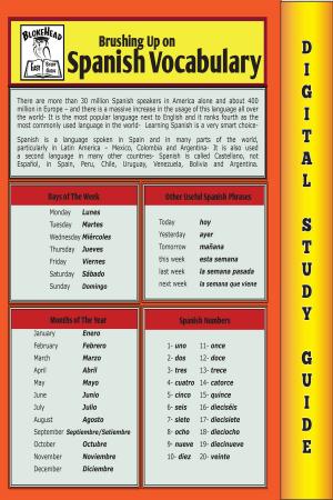 Cover of the book Spanish Vocabulary (Blokehead Easy Study Guide) by Scott Green