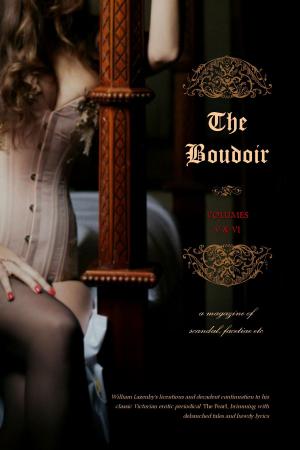 Cover of the book The Boudoir, Volumes 5 and 6 by Rebecca Birch (pseudonym), Locus Elm Press (editor)