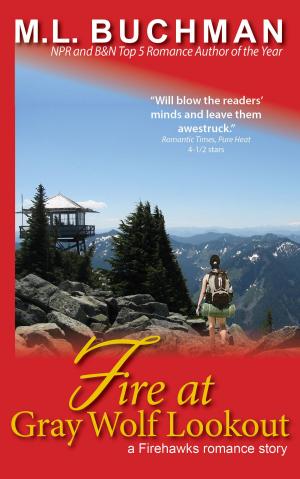 Book cover of Fire at Gray Wolf Lookout