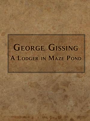Book cover of A Lodger in Maze Pond