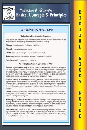 Book cover of Accounting Basics, Concepts & Principles (Blokehead Easy Study Guide)