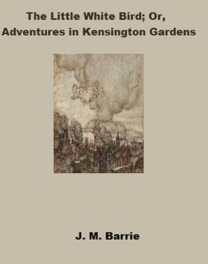 Book cover of The Little White Bird: or Adventures In Kensington Gardens (Annotated)