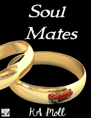 Cover of the book Soul Mates by S.L. Gape