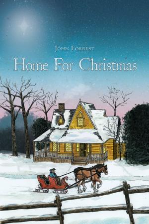 Book cover of Home For Christmas