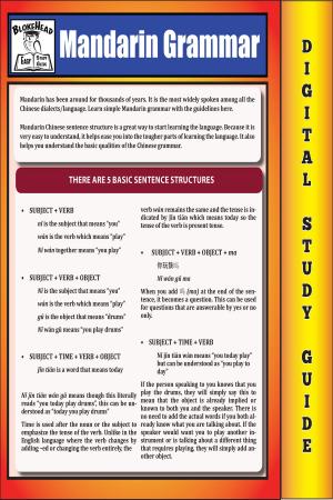 Cover of Mandarin Grammar ( Blokehead Easy Study Guide)