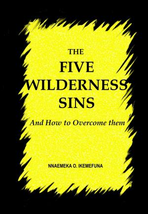 Cover of the book THE FIVE WILDERNESS SINS by David Théry, Jérémy Sourdril, Alain Auderset