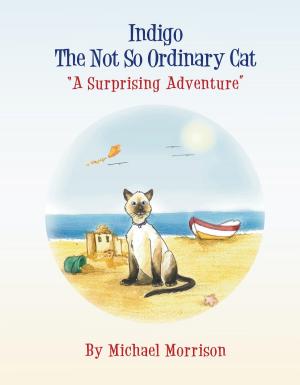 Book cover of Indigo The Not So Ordinary cat