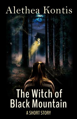 Book cover of The Witch of Black Mountain