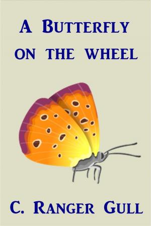Cover of the book A Butterfly on the Wheel by George Barr McCutcheon