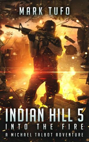 Book cover of Indian Hill 5: Into The fire