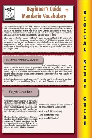 bigCover of the book Mandarin Vocabulary ( Blokehead Easy Study Guide) by 