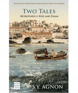 Cover of the book Two Tales by Soloveichik, Rabbi Meir;Halpern, Dr. Stuart  and Zuckier, Rabbi Shlomo