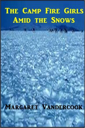 bigCover of the book The Camp Fire Girls Amid the Snows by 