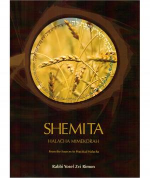 Cover of the book Shemita by Steinsaltz, Rabbi Adin Even-Israel