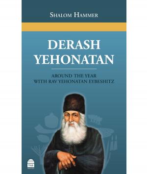 Cover of the book Derash Yehonatan by Riskin, Rabbi Shlomo