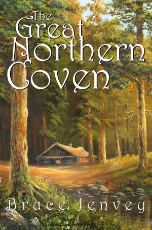 Book cover of The Great Northern Coven