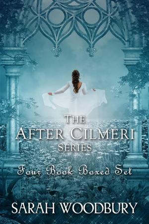Book cover of The After Cilmeri Series Boxed Set: Daughter of Time/Footsteps in Time/Winds of Time/Prince of Time
