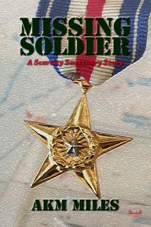 Cover of the book Missing Soldier by Vincent Lardo