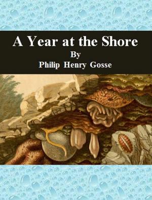 Cover of the book A Year at the Shore by Victor Rousseau